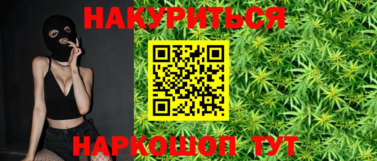 Клин  Каннабис планчик  Каннабис планчик  Канабис OG Kush  Вход с VPN 